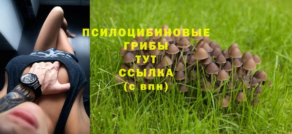 дурь Надым