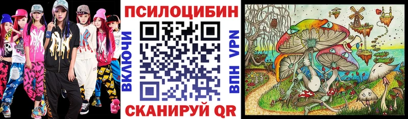 Галлюциногенные грибы Psilocybine cubensis  как найти наркотики  Батайск 