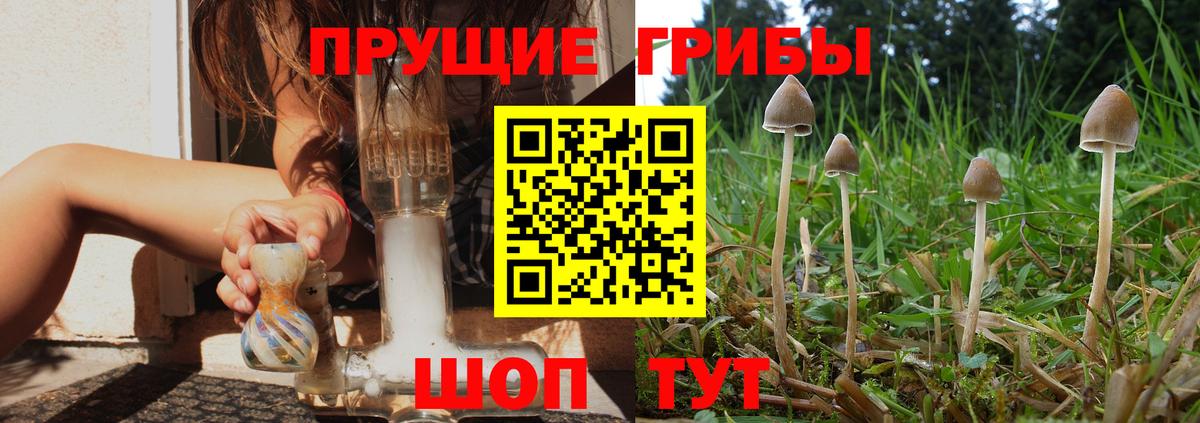 Псилоцибиновые грибы MAGIC MUSHROOMS  Вход с VPN  Батайск 