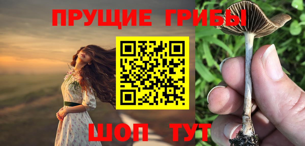 Псилоцибиновые грибы прущие грибы Батайск